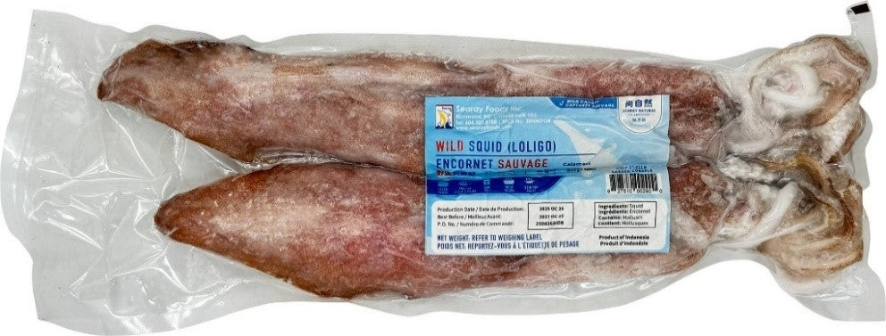 SQUID LOLIGO 21/25 WR VP PER LB 火箭魷