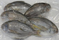 BUTTER FISH VP 瓜子倉 400G