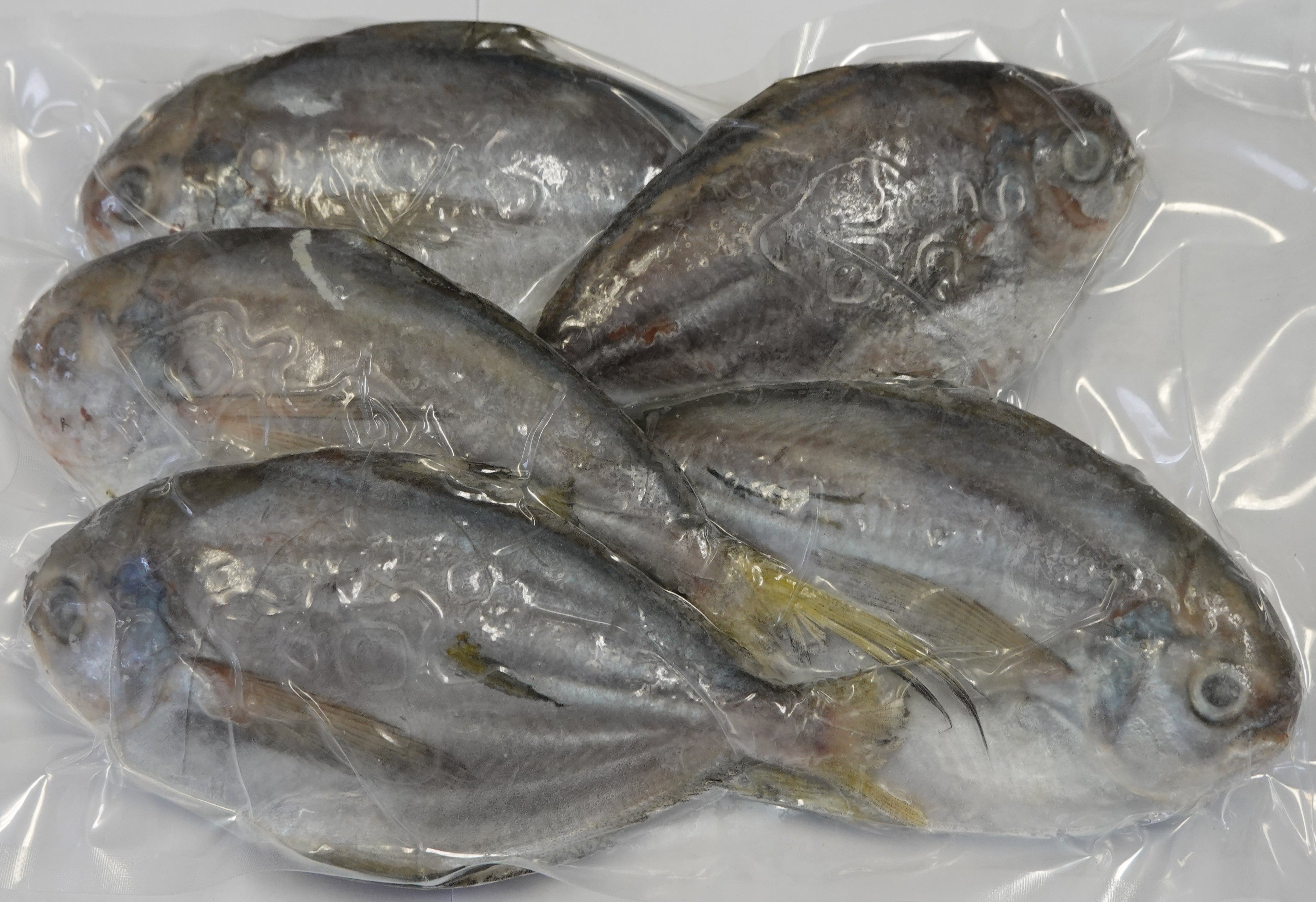 BUTTER FISH VP 瓜子倉 400G