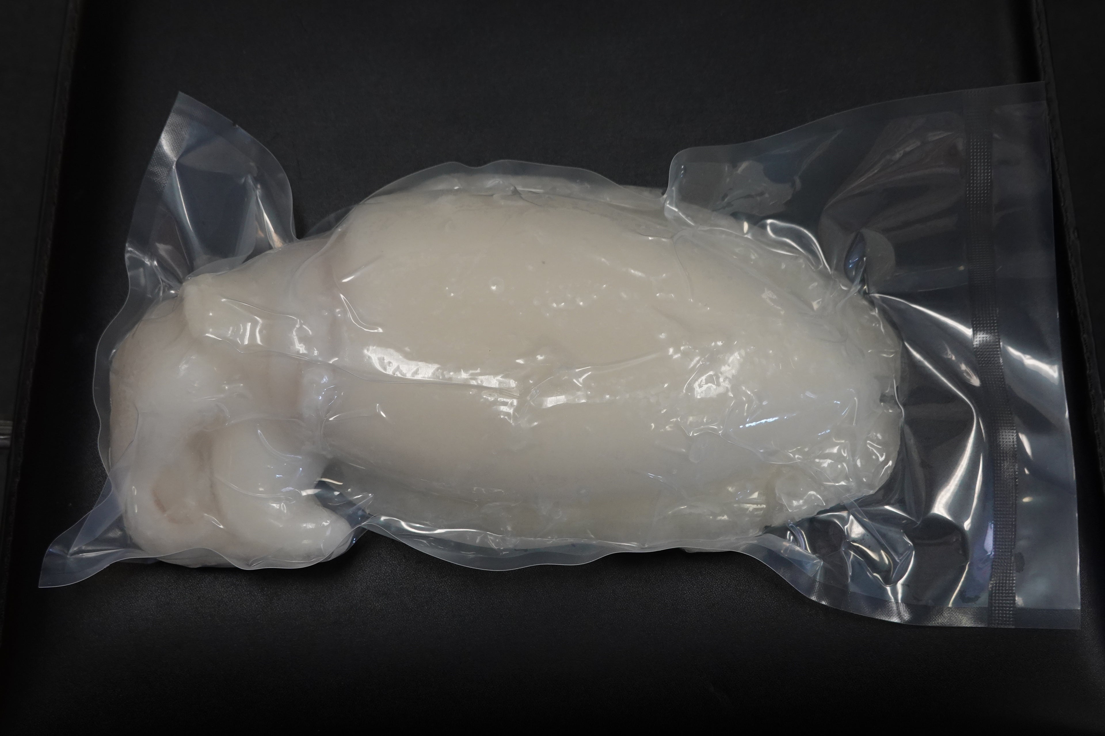 CUTTLEFISH WR VP 500-700g  PER PACK 原隻大墨魚