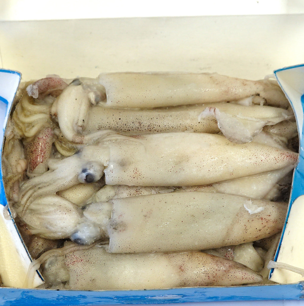 CALIFORNIA SQUID QP 1KG 盒装鱿魚