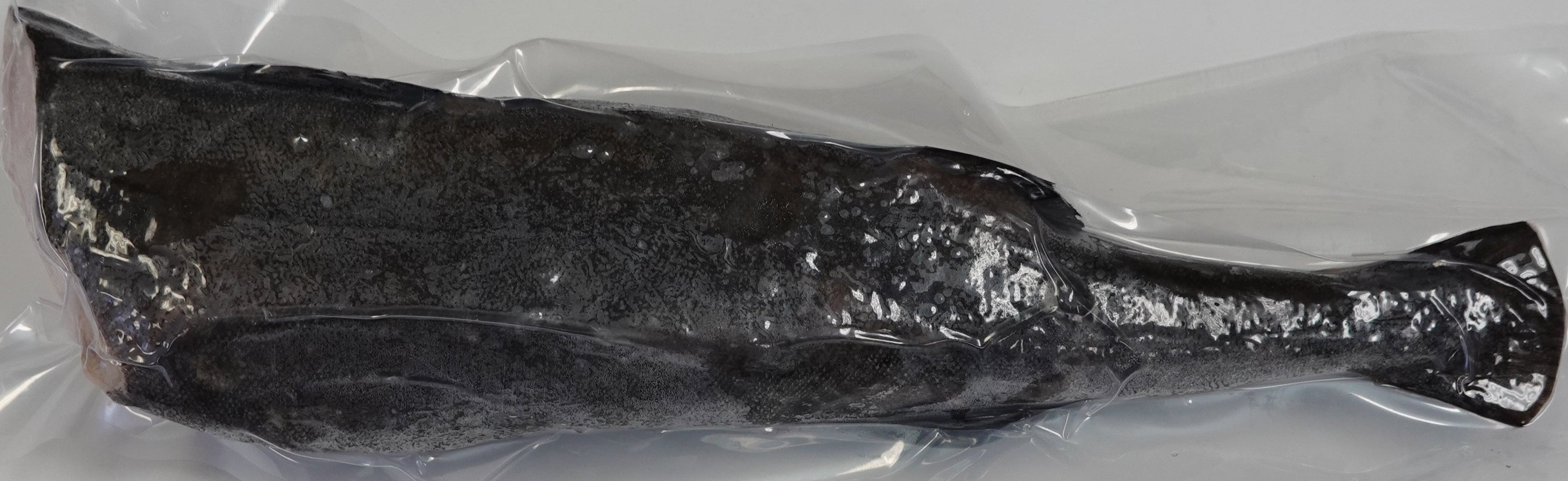 BLACK COD 600-800 VP 黑雪魚