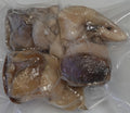 CONCH MEAT VP  (LARGE)