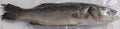 European Sea Bass Fish VP 450-500G/PK  葡萄牙海爐魚