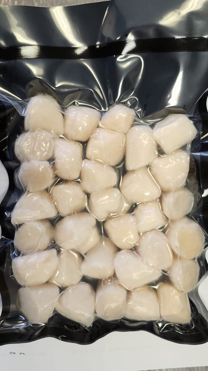 SCALLOP (M) GLS 中帶子 300G