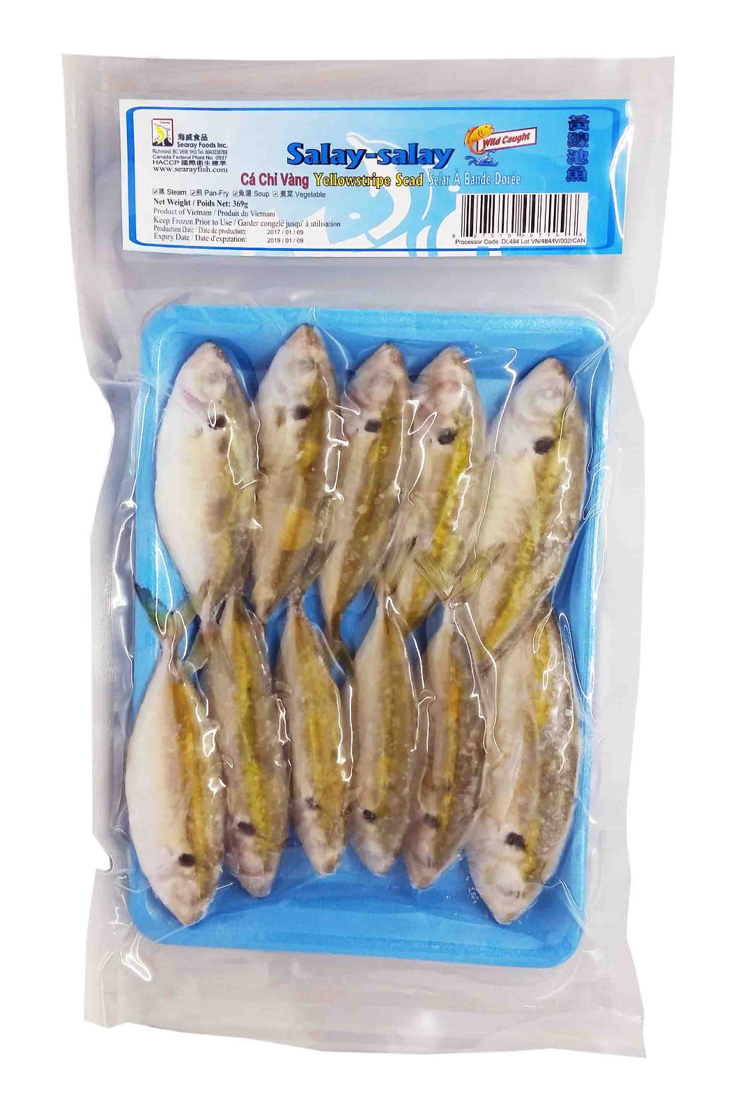 YELLOW STRIPE SCAD WR VP 369G