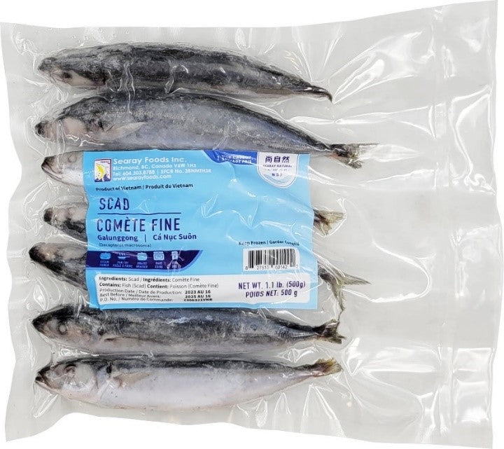 ROUND SCAD (GALUNGGONG) 500G  VP 3-5 & 6-8 池魚仔