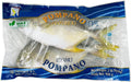 GOLDEN POMPANO 908G LP 黃立倉