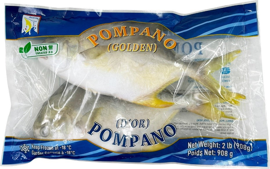 GOLDEN POMPANO 908G LP 黃立倉